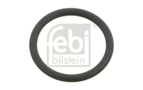 Seal Ring, steering knuckle