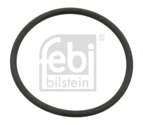 Seal Ring, steering knuckle