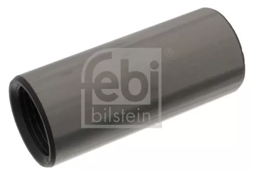 Bushing, leaf spring