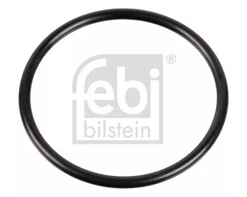 Seal Ring, steering knuckle