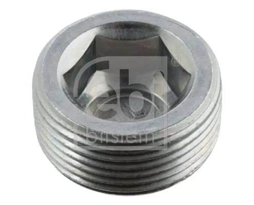 Screw Plug, axle drive