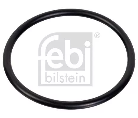 Seal Ring, steering knuckle