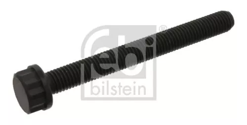 Cylinder Head Bolt