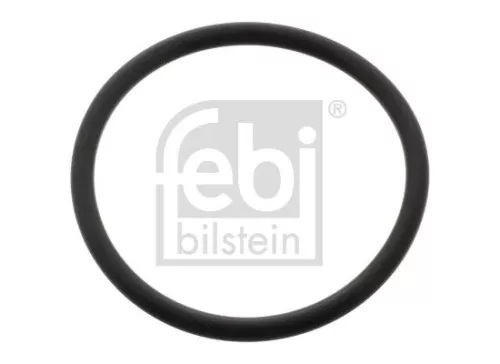 Seal Ring, steering knuckle