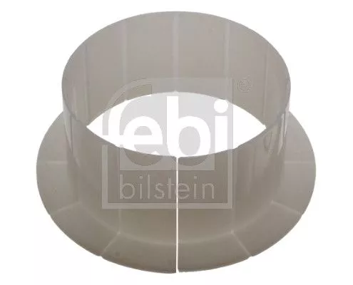 Mounting, leaf spring