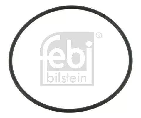 Seal Ring, steering knuckle