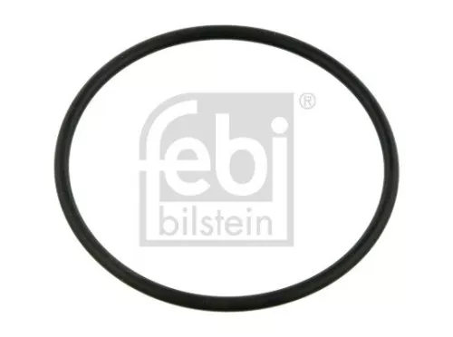 Seal Ring, steering knuckle