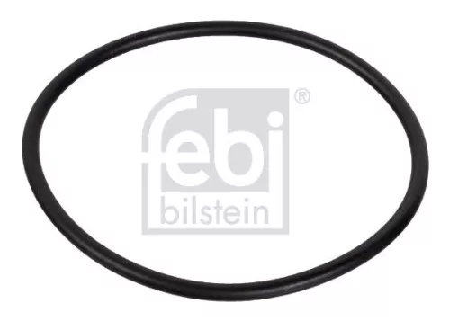 Seal Ring, steering knuckle