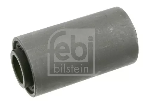 Bushing, leaf spring