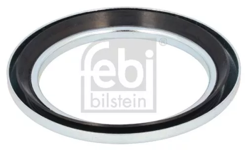 Seal Ring, steering knuckle