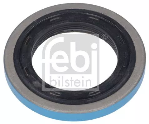 Shaft Seal, differential