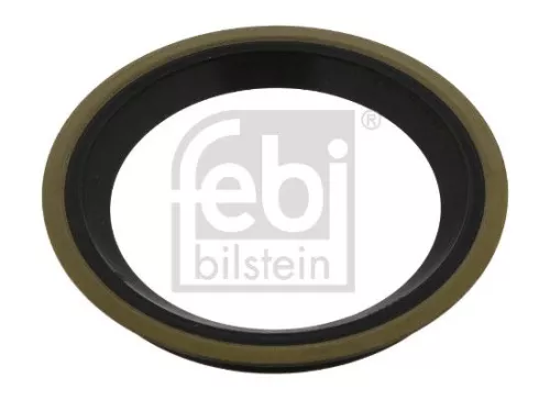 Seal Ring, steering knuckle