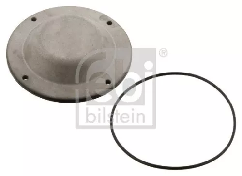 Protection Lid, wheel hub