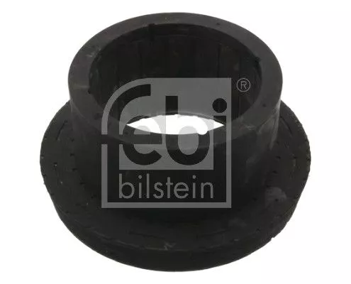 Mounting, leaf spring