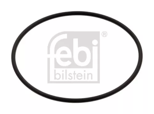 Gasket, manual transmission housing