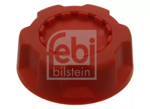 Cap, oil filler neck