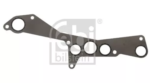 Gasket, oil filter housing