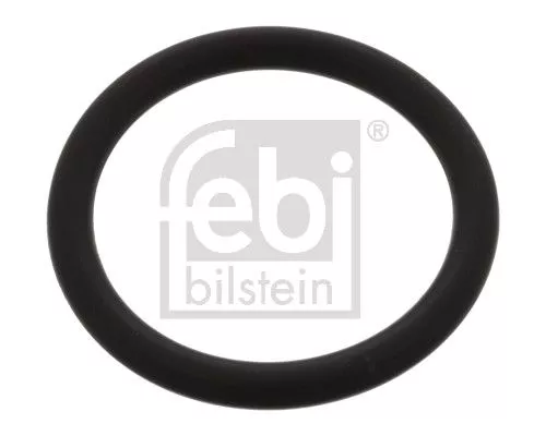 Seal Ring, steering knuckle