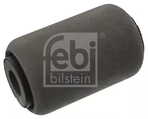 Bushing, leaf spring