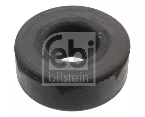 Mount, exhaust system