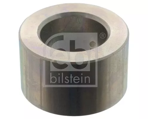 Bushing, leaf spring