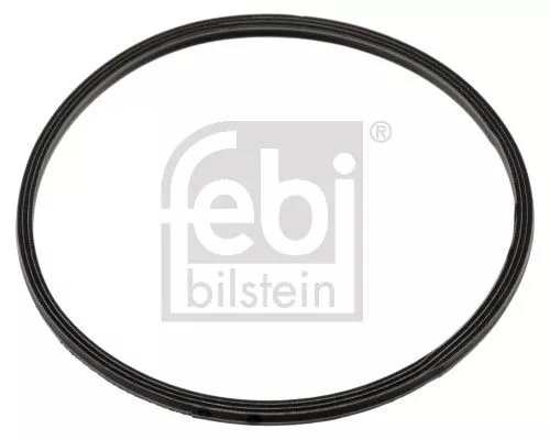 Gasket, exhaust manifold