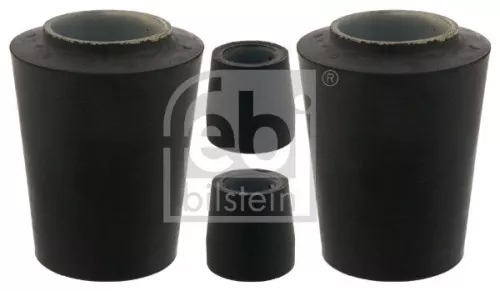 Bushing, leaf spring