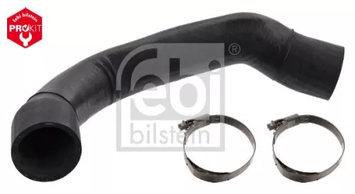 Radiator Hose