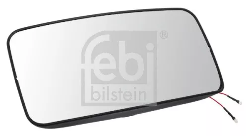 Exterior Mirror, driver cab