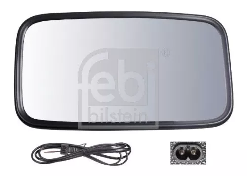 Exterior Mirror, driver cab