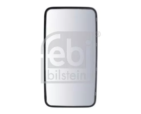 Exterior Mirror, driver cab