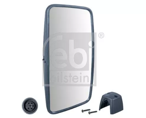 Exterior Mirror, driver cab