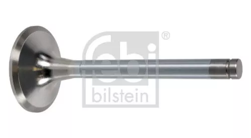Intake Valve