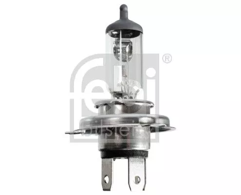 Bulb, cornering light