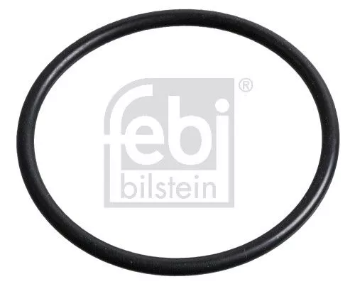 Seal Ring, steering knuckle