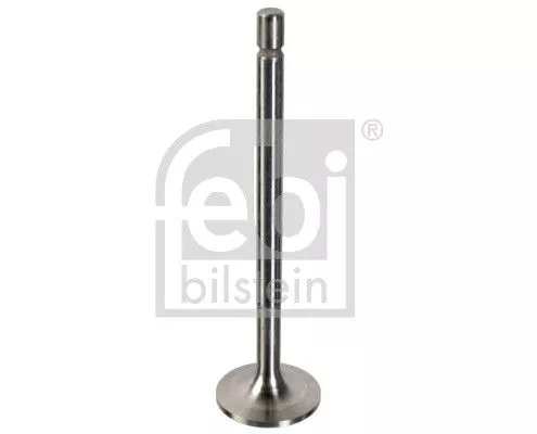 Intake Valve