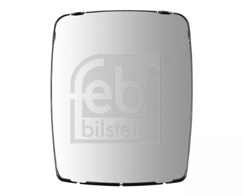 Exterior Mirror, driver cab