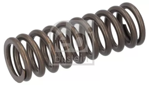 Valve Spring