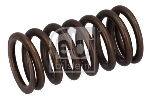 Valve Spring