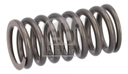 Valve Spring