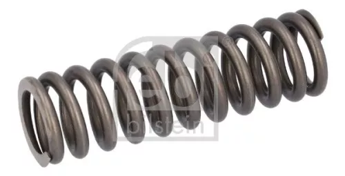 Valve Spring