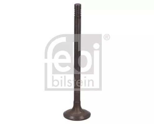 Exhaust Valve