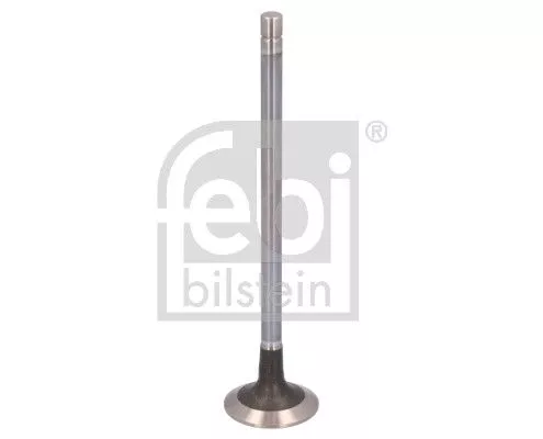 Exhaust Valve
